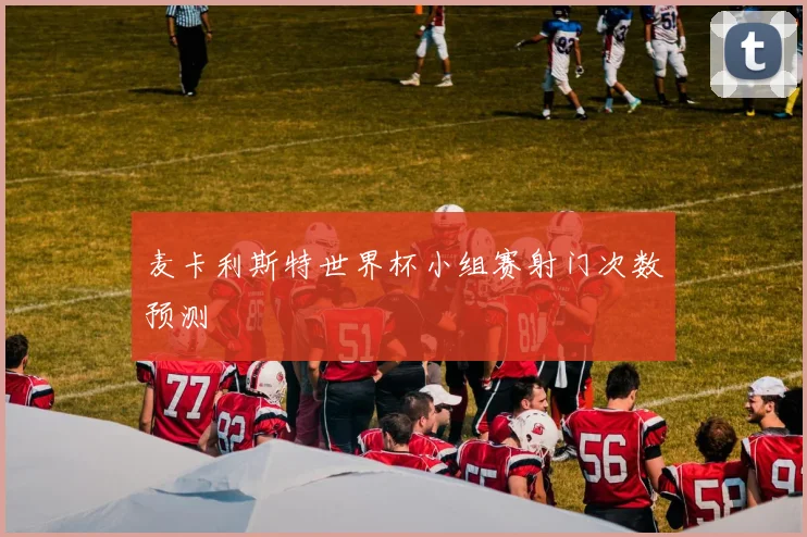 麦卡利斯特世界杯小组赛射门次数预测