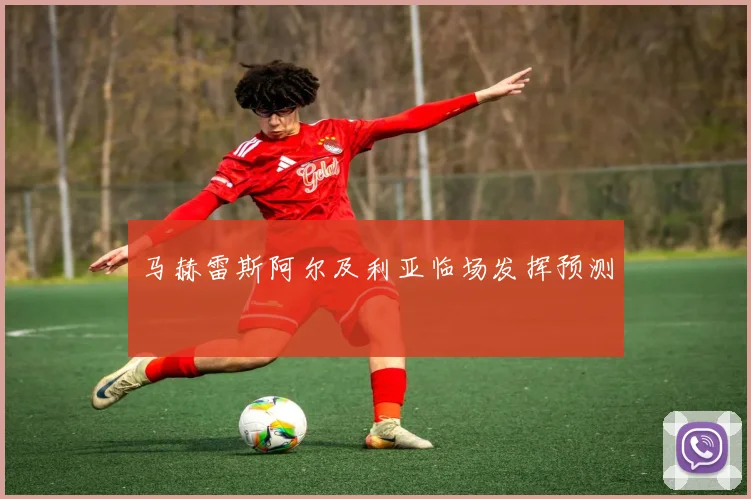 马赫雷斯阿尔及利亚临场发挥预测