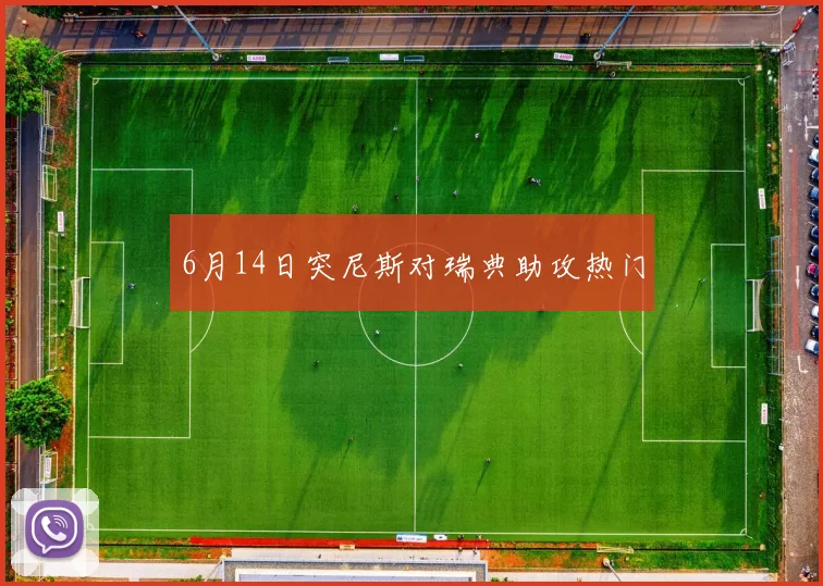 6月14日突尼斯对瑞典助攻热门